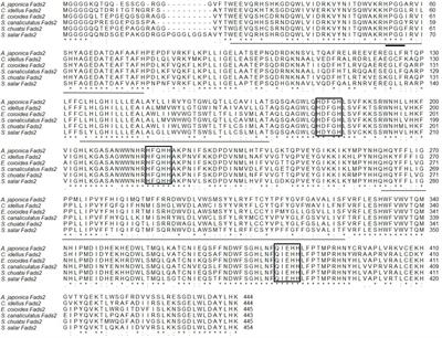 Comparsion of Activities of Fatty Acyl Desaturases and Elongases Among Six Teleosts With Different Feeding and Ecological Habits